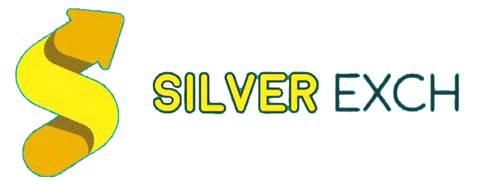 Silverbhai version 4 Logo