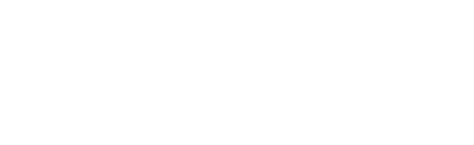SAFFRONEXCH Logo