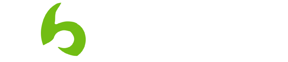 6WICKET777 Logo